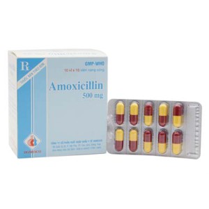 Thuốc kháng sinh Amoxicillin 500mg Domesco (10 vỉ x 10 viên/hộp)