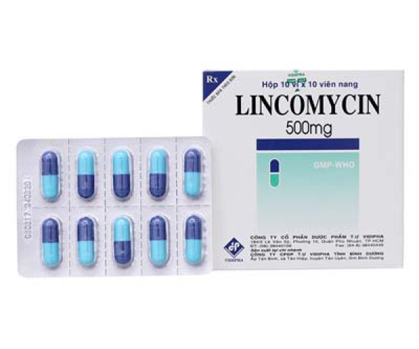 Thuốc kháng sinh Lincomycin 500mg Vidipha (10 vỉ x 10 viên/hộp)