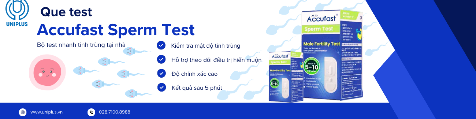 chúc mừng năm mới 