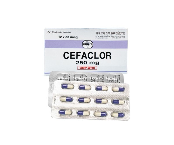 Thuốc kháng sinh Cefaclor 250mg Uphace (12 viên/hộp)