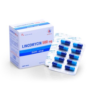 Thuốc kháng sinh Lincomycin Domesco 500mg (20 vỉ x 10 viên/hộp)