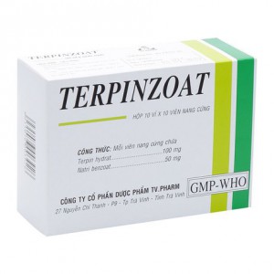 Thuốc điều trị ho, long đờm Terpinzoat (10 vỉ x 10 viên/hộp)
