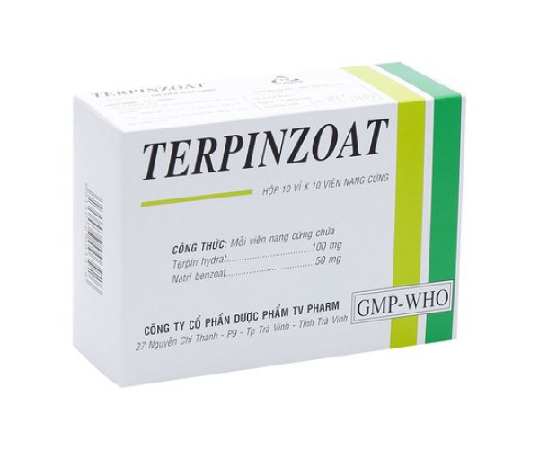 Thuốc điều trị ho, long đờm Terpinzoat (10 vỉ x 10 viên/hộp)