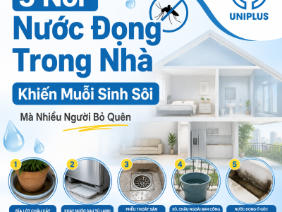 5 nơi nước đọng trong nhà khiến muỗi sinh sôi mà nhiều người bỏ quên