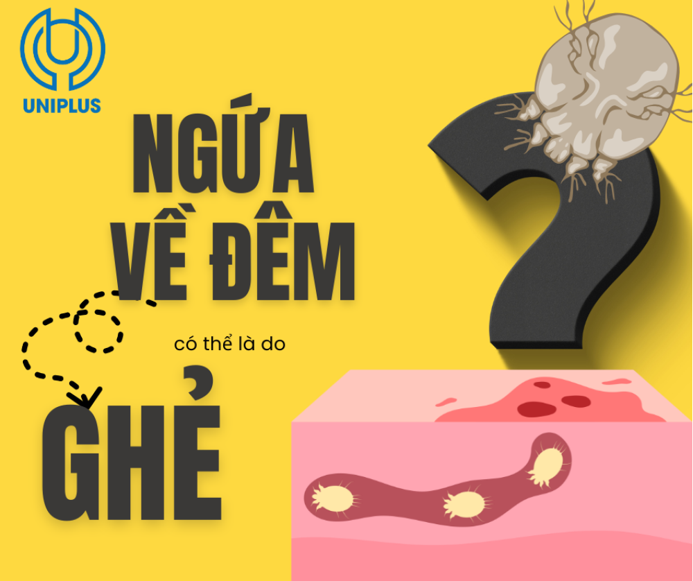 Bệnh Ghẻ: Đừng Chủ Quan Với Cơn Ngứa "Hành Hạ" Kéo Dài