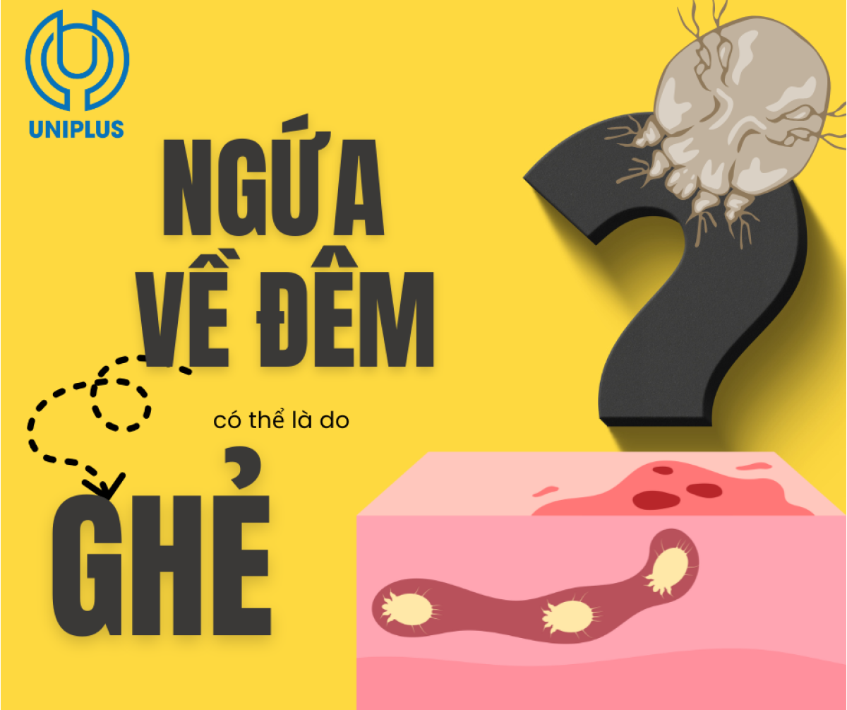Bệnh Ghẻ: Đừng Chủ Quan Với Cơn Ngứa "Hành Hạ" Kéo Dài