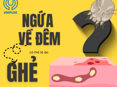 Bệnh Ghẻ: Đừng Chủ Quan Với Cơn Ngứa "Hành Hạ" Kéo Dài