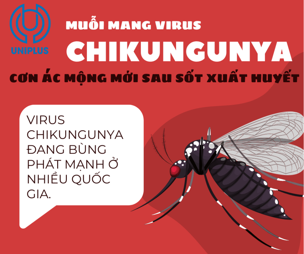 Dịch bệnh Chikungunya - Cơn Ác Mộng Mới Sau Sốt Xuất Huyết Dịch bệnh Chikungunya - Cơn Ác Mộng Mới Sau Sốt Xuất Huyết