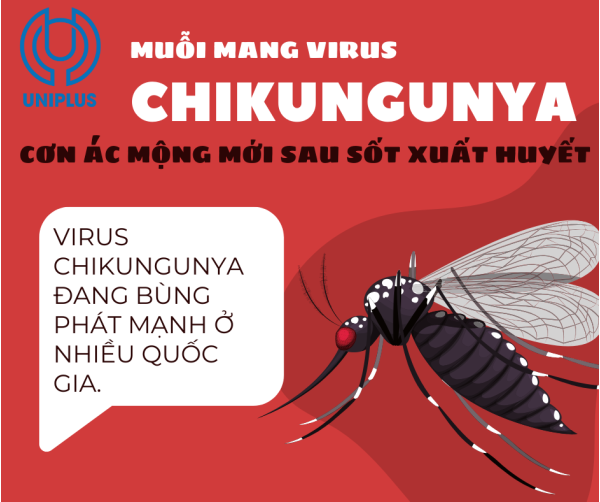 Dịch bệnh Chikungunya -  Cơn Ác Mộng Mới Sau Sốt Xuất Huyết