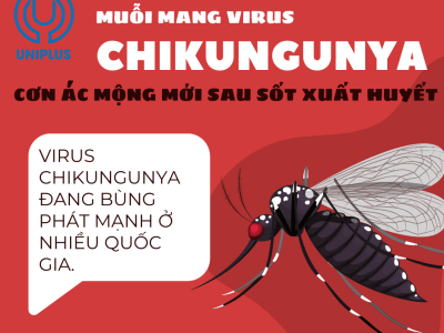 Dịch bệnh Chikungunya -  Cơn Ác Mộng Mới Sau Sốt Xuất Huyết