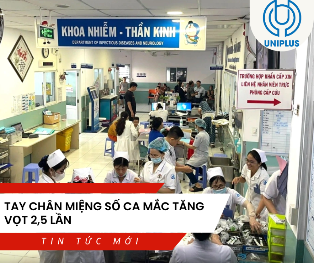 Cẩm nang phòng dịch 2026: Cách phân biệt chủng virus EV71 và CA16 chính xác nhất