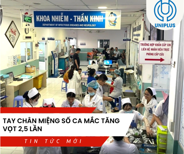 Cẩm nang phòng dịch 2026: Cách phân biệt chủng virus EV71 và CA16 chính xác nhất