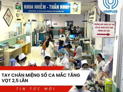 Cẩm nang phòng dịch 2026: Cách phân biệt chủng virus EV71 và CA16 chính xác nhất