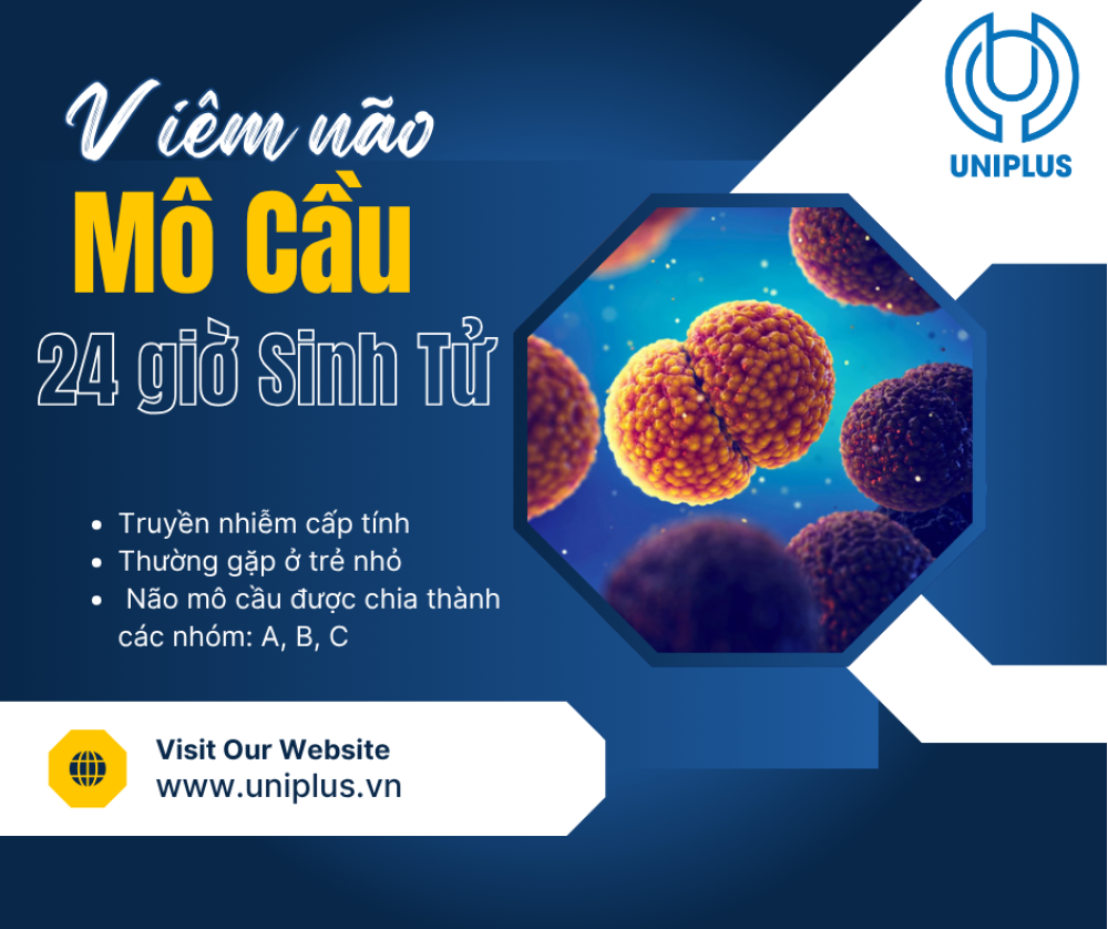 VIÊM NÃO MÔ CẦU 2026: "SÁT THỦ" THẦM LẶNG VÀ CUỘC CHẠY ĐUA 24 GIỜ SINH TỬ