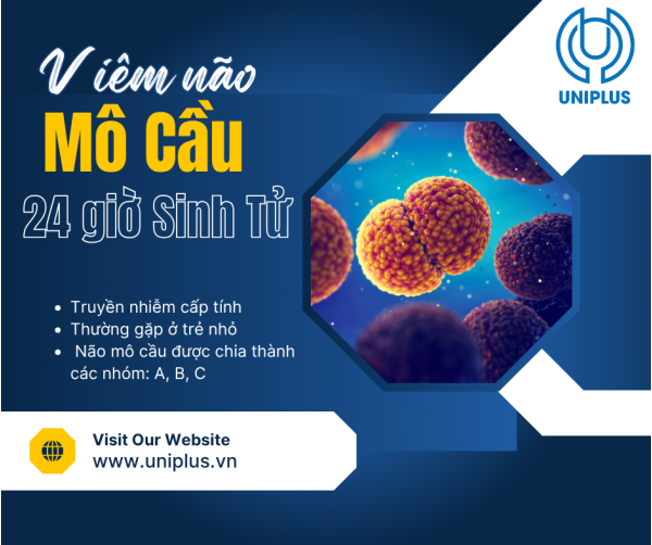 VIÊM NÃO MÔ CẦU 2026: "SÁT THỦ" THẦM LẶNG VÀ CUỘC CHẠY ĐUA 24 GIỜ SINH TỬ VIÊM NÃO MÔ CẦU 2026: "SÁT THỦ" THẦM LẶNG VÀ CUỘC CHẠY ĐUA 24 GIỜ SINH TỬ