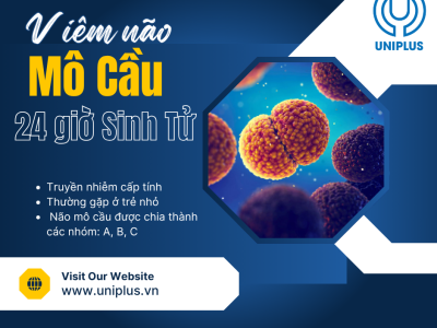 VIÊM NÃO MÔ CẦU 2026: "SÁT THỦ" THẦM LẶNG VÀ CUỘC CHẠY ĐUA 24 GIỜ SINH TỬ