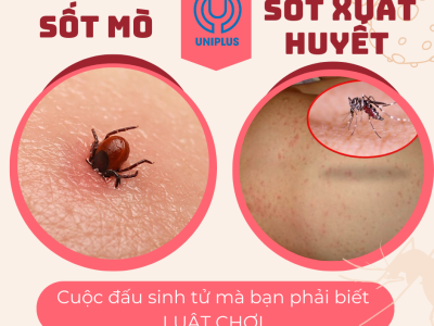 Nhầm lẫn nguy hiểm: Phân biệt sốt mò và sốt xuất huyết để điều trị đúng