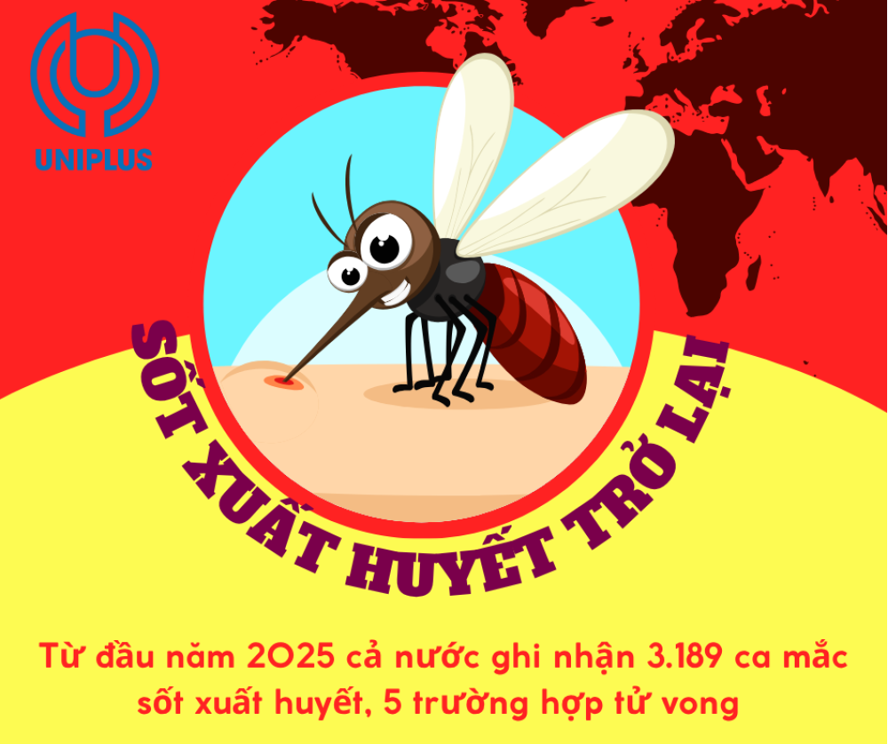 Sốt Xuất Huyết Trở Lại - Dịch Bệnh ‘Thầm Lặng’ Vào Mùa Mưa