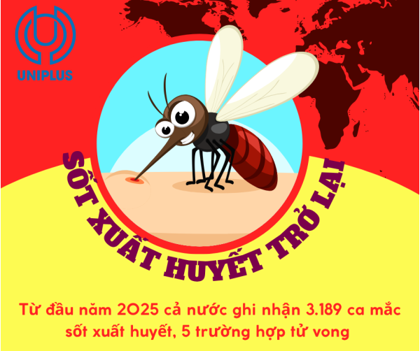 Sốt Xuất Huyết Trở Lại - Dịch Bệnh ‘Thầm Lặng’ Vào Mùa Mưa