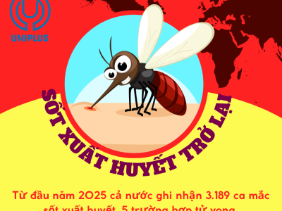 Sốt Xuất Huyết Trở Lại - Dịch Bệnh ‘Thầm Lặng’ Vào Mùa Mưa