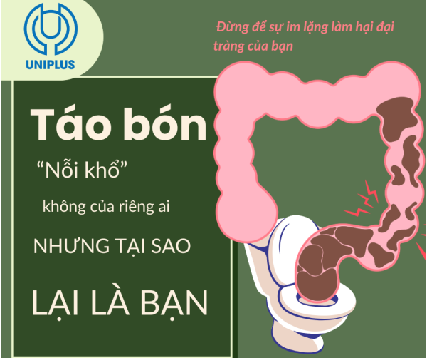 Táo Bón Ở Người Lớn: Nguyên Nhân, Tác Hại Và Lộ Trình 7 Ngày Giải Quyết Dứt Điểm