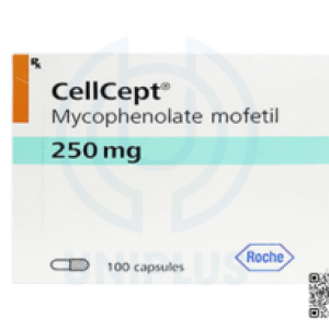 Thuốc điều trị dự phòng thải ghép  Cellcept 250mg (100 viên/hộp)