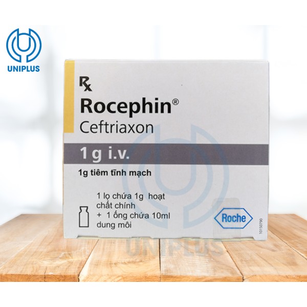 Dung dịch tiêm truyền Rocephin 1g  