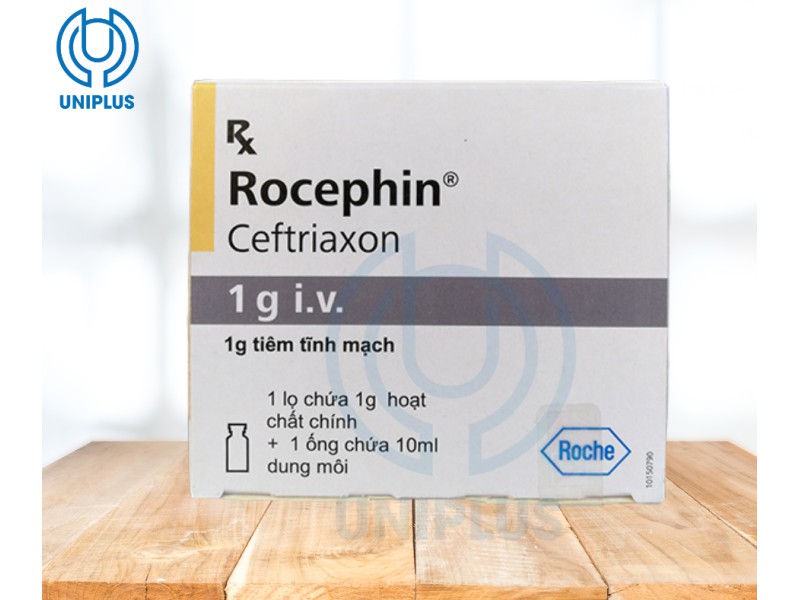 Dung dịch tiêm truyền Rocephin 1g  