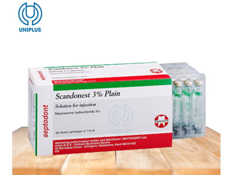 Dung dịch tiêm truyền Scandonest 3% Plain