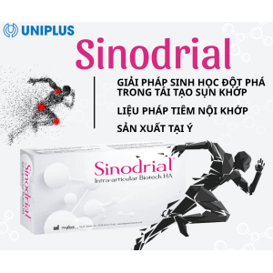 Dung dịch tiêm xương khớp Sinodrial 50 mg