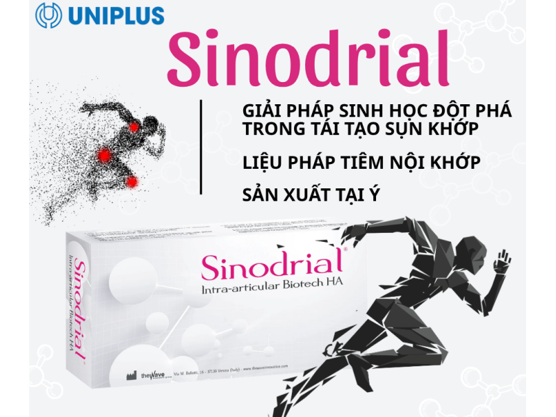 Dung dịch tiêm xương khớp Sinodrial 50 mg