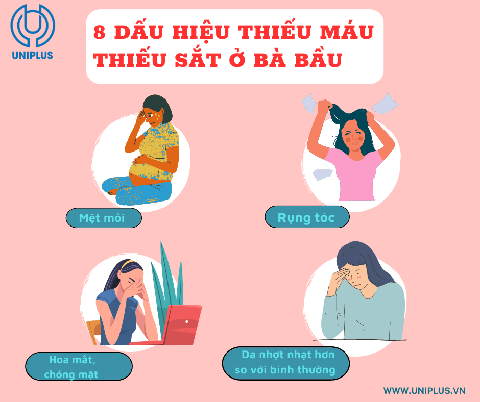 Dấu Hiệu Thiếu Máu Ở Bà Bầu - Nguyên Nhân và Cách Phòng Ngừa Hiệu Quả